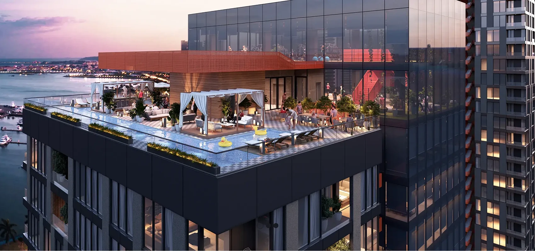 genera ingresos y la cuidamos por ti project